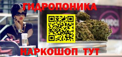 гидропоника Лесосибирск