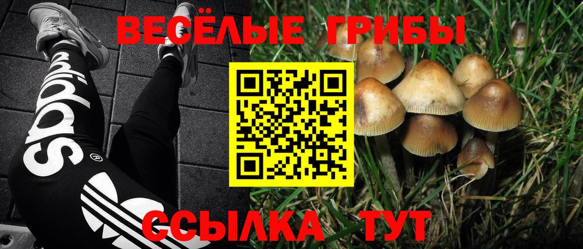 Галлюциногенные грибы ЛСД Каменка